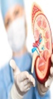 The Predictors of Left Ventricular Hypertrophy in Kidney Transplant Recipients